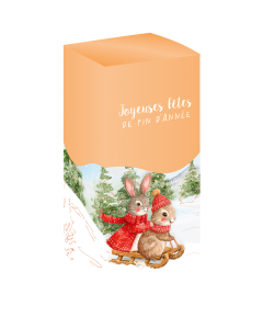 Tisane Aromatique 100g Noël «» DLUO  01/2028